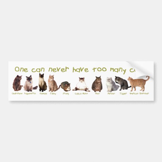 Je kan NOOIT te veel katten hebben. Bumpersticker (Voorkant)