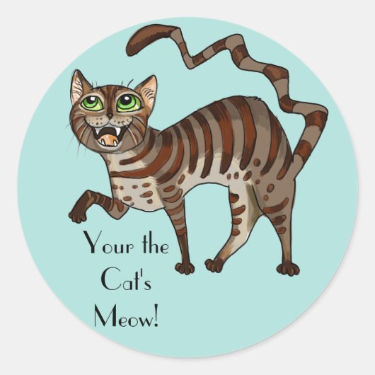 Je kat is 'Meow'. Ronde Sticker (Voorkant)