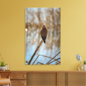 Je kijkt naar me? canvas afdruk (Insitu (Woonkamer))