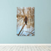 Je kijkt naar me? canvas afdruk (Insitu (Houten vloer))