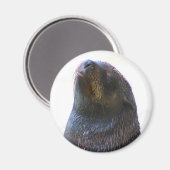 Je kijkt naar me! magneet (Voorkant / Achterkant)
