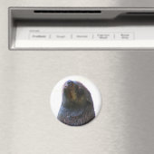 Je kijkt naar me! magneet (Insitu (Vaatwasser))