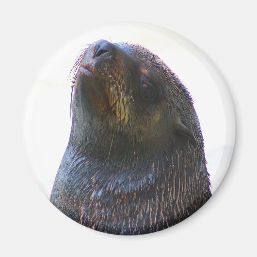 Je kijkt naar me! magneet (Voorkant)