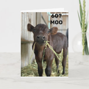 JE KIJKT NIET OP EEN DAG MEER DAN 49 "60e BIRTHDAY Kaart