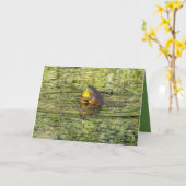 Je knuffels sturen kaart (Gele Bloem)