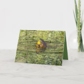 Je knuffels sturen kaart (Voorkant)