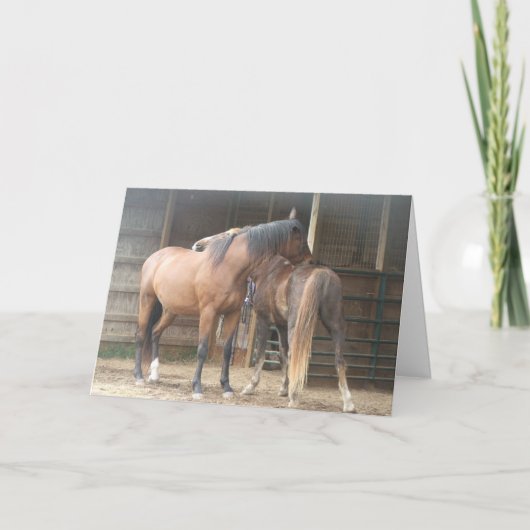 Je krabt op mijn rug......... bedankkaart (Voorkant)