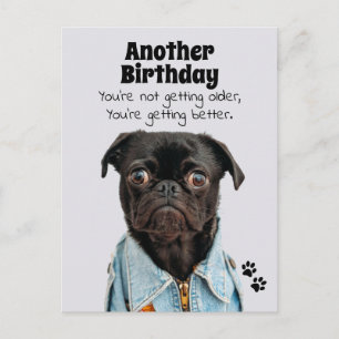 Je krijgt beter Pug Dog Birthday Briefkaart