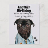 Je krijgt beter Pug Dog Birthday Briefkaart (Voorkant)