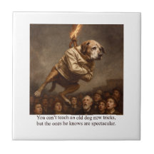 Je kunt een oude hond geen nieuwe trucjes leren