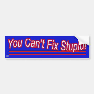 Je kunt geen onstuimige oplossing vinden bumpersticker