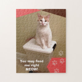 Je kunt me net voeden met kattenpuzzel. legpuzzel