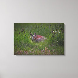 Je kunt me niet zien! canvas afdruk