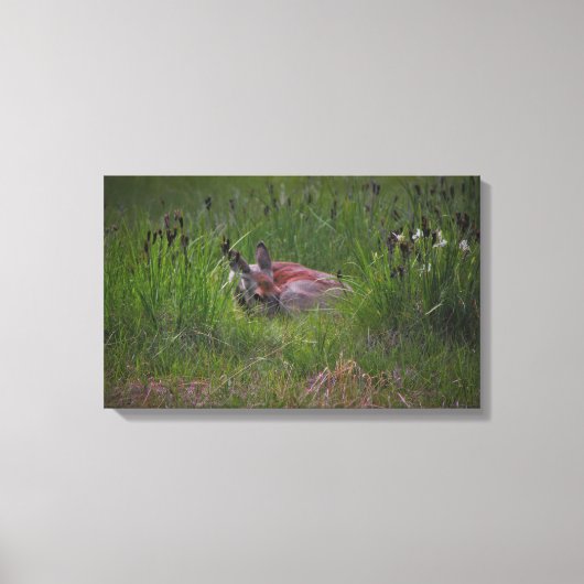 Je kunt me niet zien! canvas afdruk (Voorkant)