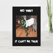 JE KUNT NIET '40' KAART ZIJN (Voorkant)