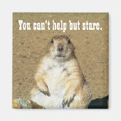 "Je kunt niet anders dan alleen maar staren" Prair Magneet (Voorkant)