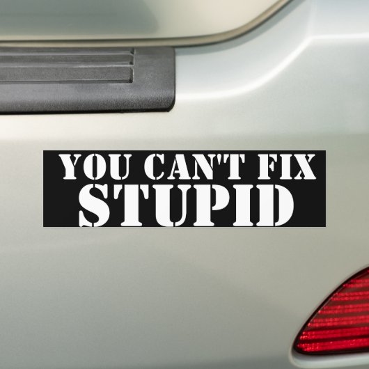 JE KUNT NIET FIX, STUPID BUMPERSTICKER (Op auto)