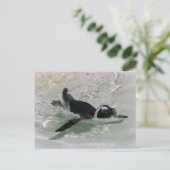 Je kunt niet gek worden op een pinguïn. Briefkaart (Staand voorkant)