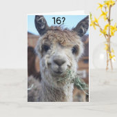 JE KUNT NIET GELOVEN DAT JE '16e' BIRTHDAY BEVINDT Kaart (Gele Bloem)