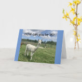 JE KUNT NIET GELOVEN DAT JE '16e' BIRTHDAY BEVINDT Kaart (Gele Bloem)