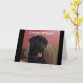 JE KUNT NIET GELOVEN DAT JE '20e' BIRTHDAY BEVINDT Kaart (Gele Bloem)