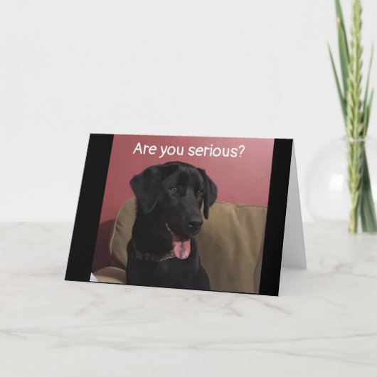 JE KUNT NIET GELOVEN DAT JE '20e' BIRTHDAY BEVINDT Kaart (Voorkant)