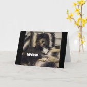 JE KUNT NIET GELOVEN DAT JE "30" KAART BENT (Gele Bloem)