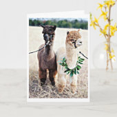 JE KUNT NIET GELOVEN DAT JE '40ste' BIRTHDAY BEVIN Kaart (Gele Bloem)