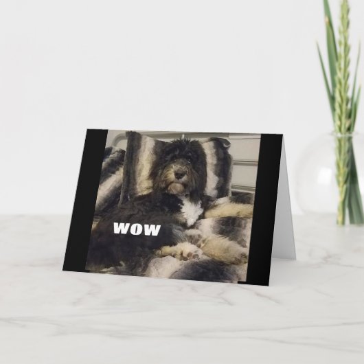 JE KUNT NIET GELOVEN DAT JE "60" KAART BENT (Voorkant)