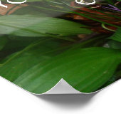 Je kunt niet iedereen tevreden stellen met het gez poster (Hoek)