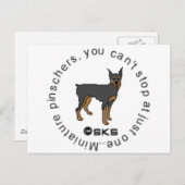 Je kunt niet slechts één - miniatuur pinscher hebb briefkaart (Voorkant / Achterkant)