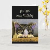 Je kunt niet verbergen Het is je verjaardag Schatt Kaart (Gele Bloem)