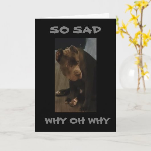 *JE KUNT NIET VERPLAATSEN DAT IK "JE VERMIST!" KAA KAART (Gele Bloem)