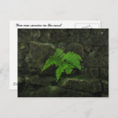 Je kunt overleven... briefkaart (Voorkant / Achterkant)