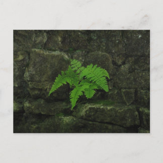 Je kunt overleven... briefkaart