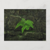 Je kunt overleven... briefkaart (Voorkant)