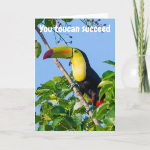 Je kunt succesvol zijn kaart