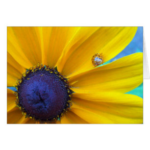 Je kunt wat zonneschijn sturen