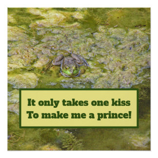 "Je kus zal me tot een prins maken"/Kikker poster