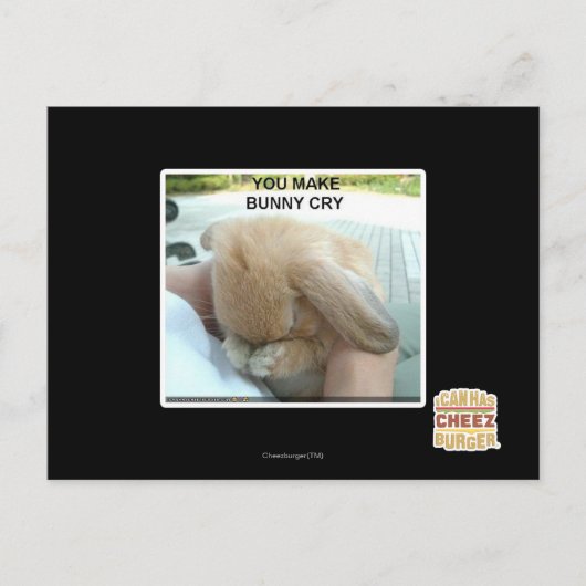 Je laat het konijn huilen briefkaart (Voorkant)