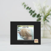 Je laat het konijn huilen briefkaart (Staand voorkant)