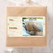 Je laat het konijn huilen etiket (Insitu)