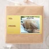 Je laat het konijn huilen etiket (Insitu)