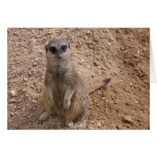 Je laat me glimlachen