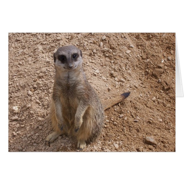 Je laat me glimlachen (Voorkant Horizontaal)