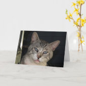 Je laat me Jubileum Kaart Spint (Gele Bloem)