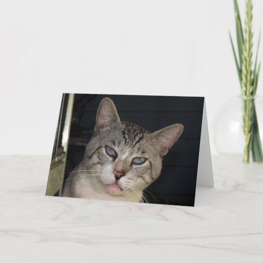 Je laat me Jubileum Kaart Spint (Voorkant)