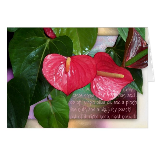 Je leven is het waard (Voorkant Horizontaal)