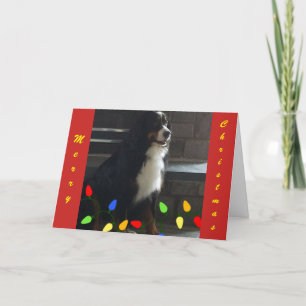 **JE LICHT MIJN LEVEN OP** MERRY CHRISTMAS FEESTDAGEN KAART