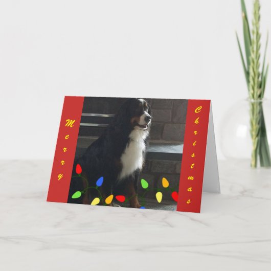 **JE LICHT MIJN LEVEN OP** MERRY CHRISTMAS FEESTDAGEN KAART (Voorkant)